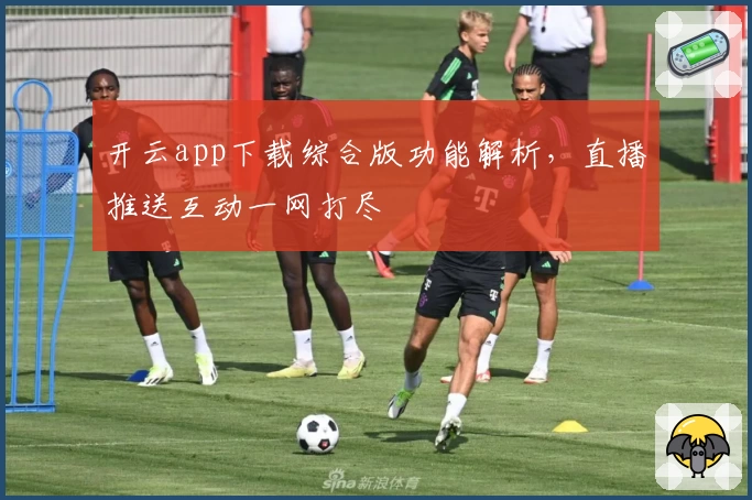 开云app下载综合版功能解析，直播推送互动一网打尽