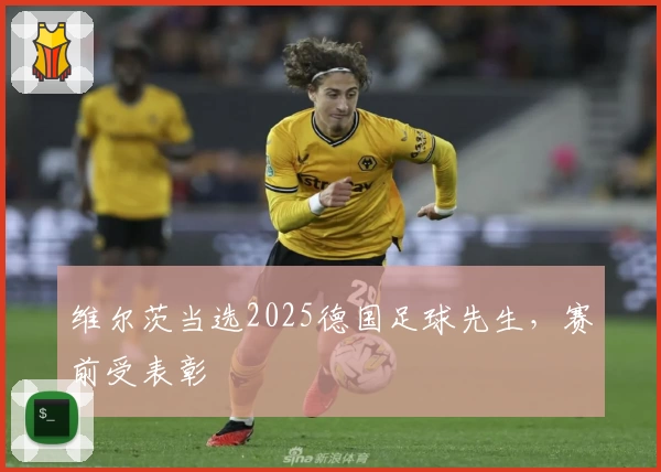 维尔茨当选2025德国足球先生，赛前受表彰