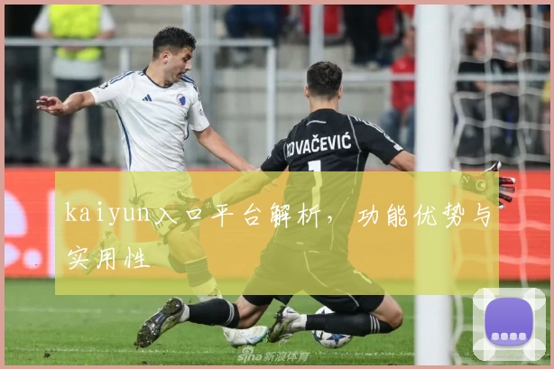 kaiyun入口平台解析，功能优势与实用性